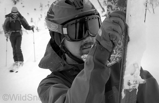 Still liking those G3 Alpinist skins Still liking those G3 Alpinist skins