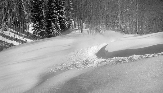 Powder skiing Colorado. Powder skiing Colorado.