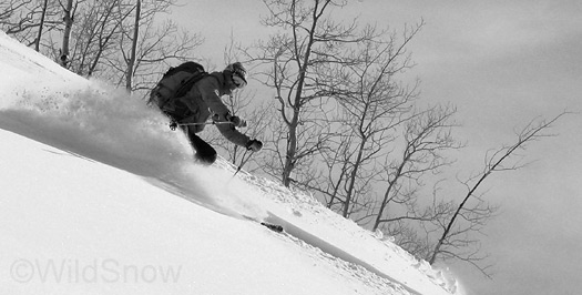 Colorado powder skiing the backcountry. Colorado powder skiing the backcountry.