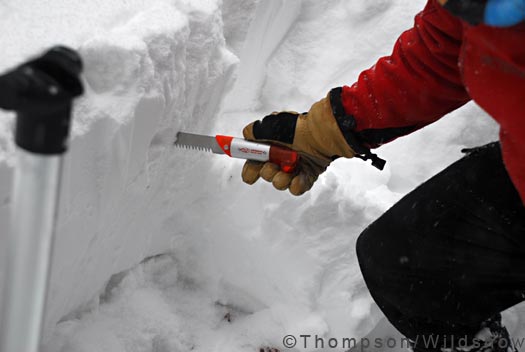 Backcountry saw Backcountry saw