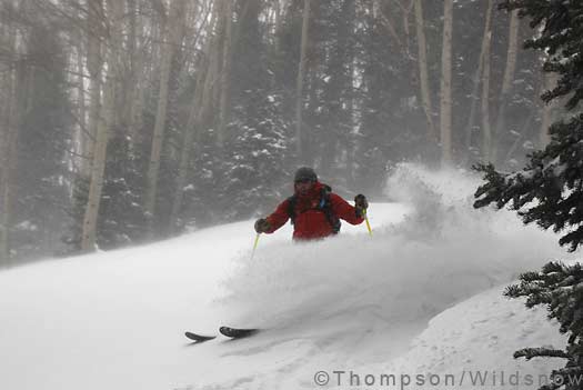 Backcountry powder skiing Backcountry powder skiing