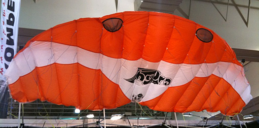 kite