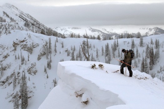 photoessay-marbleshredfest-cornice Graybird scenery.