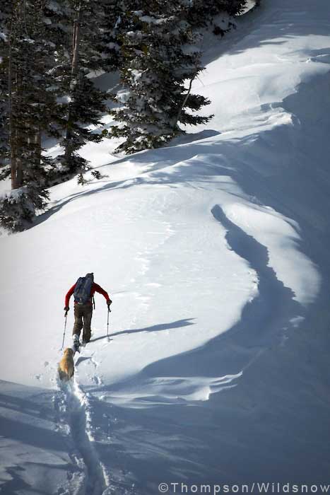 photoessay-marbleshredfest-doghike Man's best friend... Or his worst enemy when he steps on his ski tails.