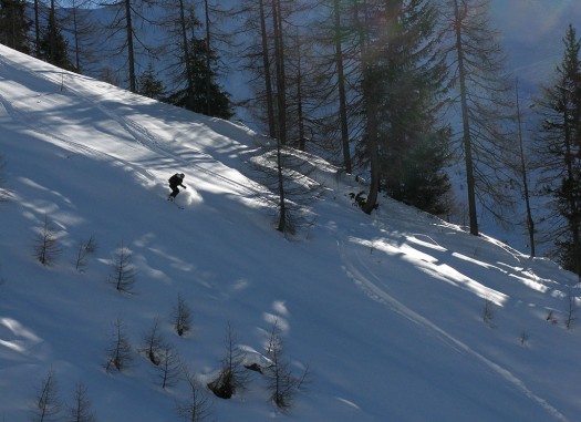 Riki hits a light patch in the trees. Some of the timber skiing was good as well, but we did get into some tight bushwhacking that was uncharacteristic of the usually civilized skiing I've gotten used to in this area. No problem with that, not like I haven't bushwhacked before. Riki hits a light patch in the trees. Some of the timber skiing was good as well, but we did get into some tight bushwhacking that was uncharacteristic of the usually civilized skiing I've gotten used to in this area. No problem with that, not like I haven't bushwhacked before.