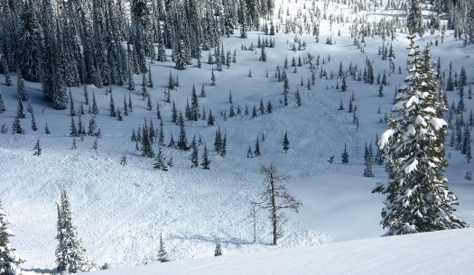 big-slide-large The largest of our triggered slides (all slides propagated remotely from safe locations out of avalanche terrain).