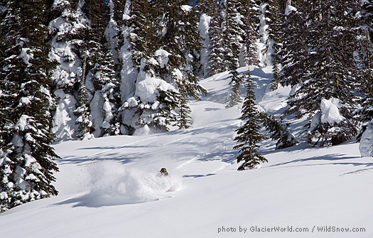 Making the most of 1 meter of Canada's best. Photo by Craig Moore at GlacierWorld.com.