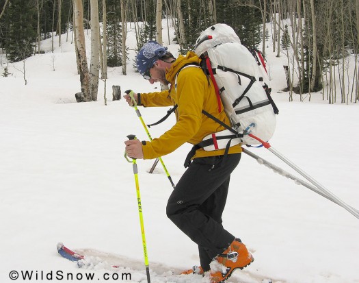 Backcountry skiing pulk. Backcountry skiing pulk.