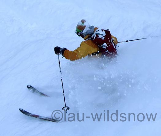 Dynafit Stoke is a competent powder performer for backcountry skiing. Dynafit Stoke is a competent powder performer for backcountry skiing.