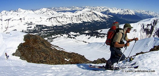 Louie on the ridge Louie on the ridge