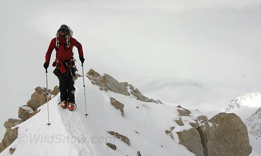 IMG_0648.-louie-ridge Louie on one of the narrow ridge sections. No wind so it was easy, but in a Denali breeze you'd probably be using your cord.
