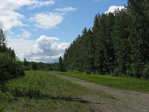 Old Talkeetna airstrip Old Talkeetna airstrip