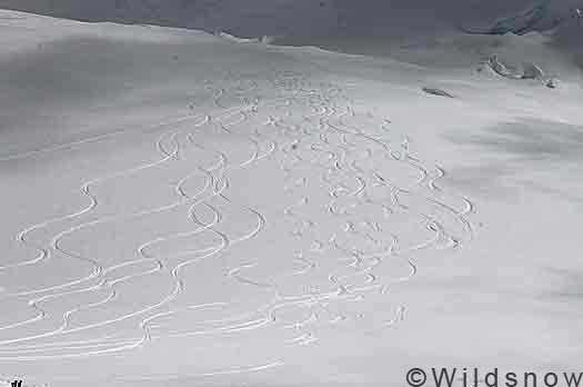 denali-skiing-1100 Our tracks.