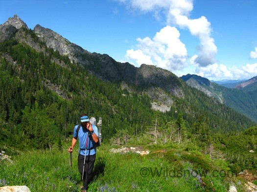 The views were beautiful once we got above the forest.