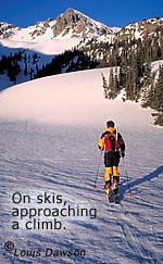 On the backcountry sking approach. On the backcountry sking approach.