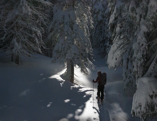 Backcountry powder skiing. Backcountry powder skiing.