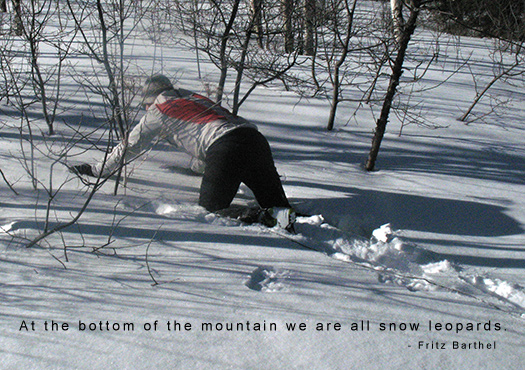 Snow leopard backcountry skiing. Snow leapard backcountry skiing.