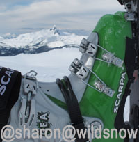 Scapa Gea backcountry skiing boots. Scapa Gea backcountry skiing boots.