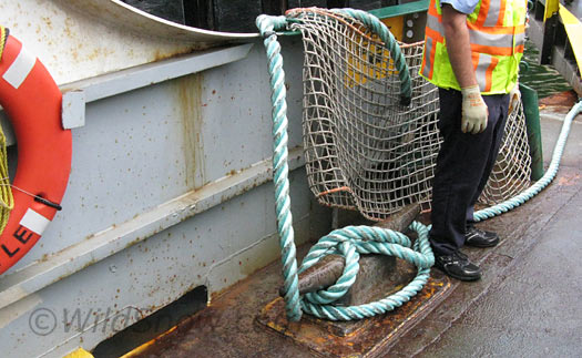 Ferry hawser. Ferry hawser.