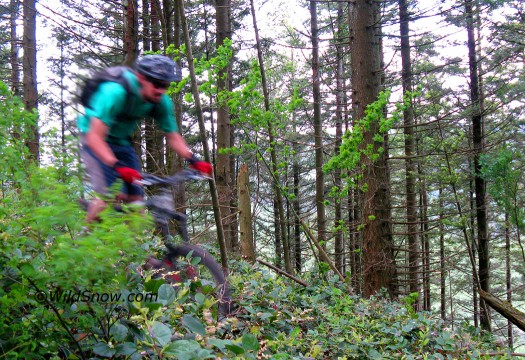 Riding Galbraith is good training for backcountry skiing.