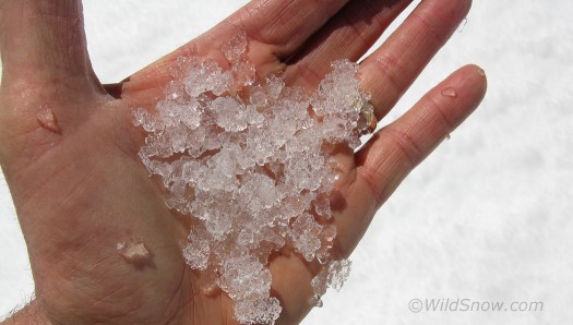 True corn snow. True corn snow.