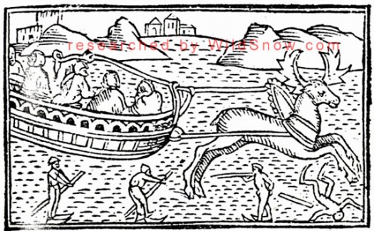 Ancient backcountry skiing, Olaus Magnus. Ancient backcountry skiing, Olaus Magnus.