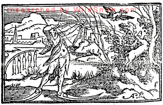 Ancient backcountry skiing, Olaus Magnus. Ancient backcountry skiing, Olaus Magnus.