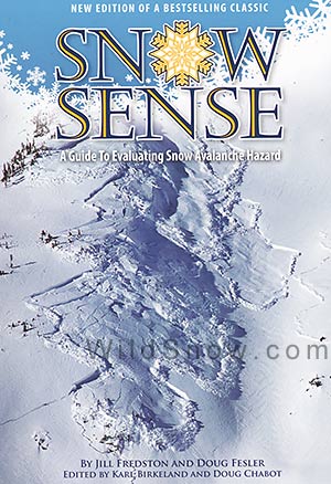Snow Sense book review about avalanche safety for skiers and snowboarders.