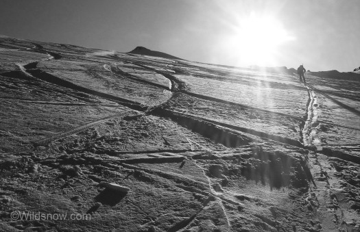 All the tracks made for good pictures, but on the way down we were able to find some freshies.