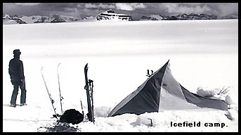 Columbia Icefield, view from tent during backcountry skiing trip. Columbia Icefield, view from tent during backcountry skiing trip.