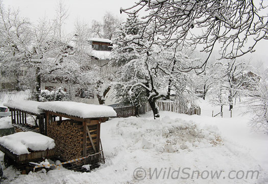 Snow for the Euros Snow for the Euros