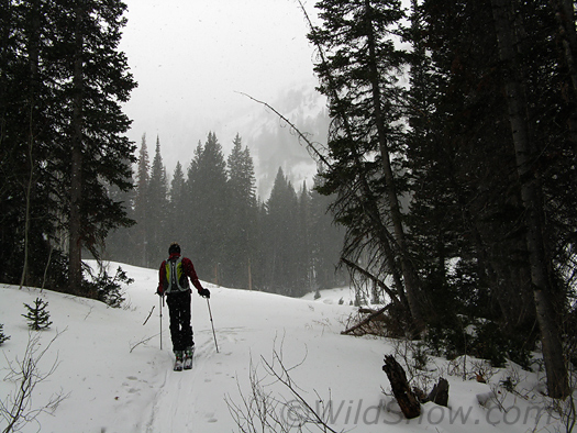 Headed up Silver Fork on the BIG SIX snowpack -- six inches and rising. Headed up Silver Fork on the BIG SIX snowpack -- six inches and rising.