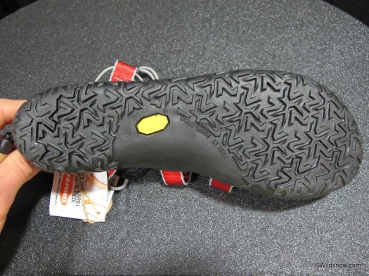 Lizard shoes sole Lizard shoes sole