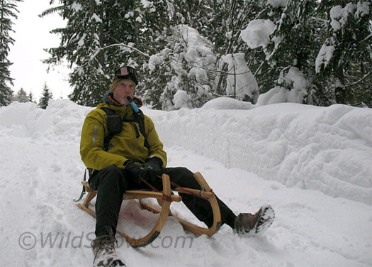 When the backcountry skiing gets rough, the tough go sledding. A guy has these rodel sleds at OR show, this shot taken a week or so A guy has these rodel sleds at OR show, this shot taken a week or so