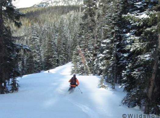 Snowpulse-Guide30-ski