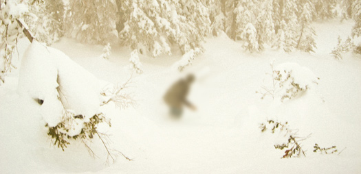 skiing-bigfoot