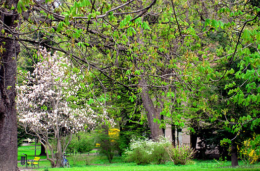 Innsbruck park Innsbruck park