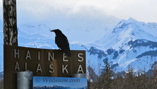 The promised land of Haines, Alaska. The promised land of Haines, Alaska.
