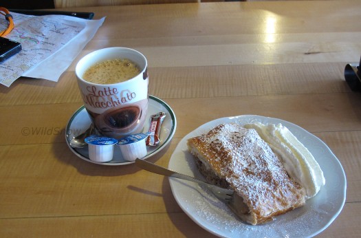 Lou has vowed to eat strudel once every 24 hours during this trip. Lou has vowed to eat strudel once every 24 hours during this trip.