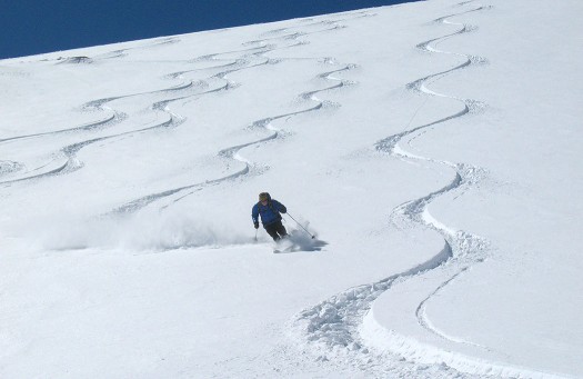 Lou does some Trolean powder farming as we head down the Feather Bed Glacier from Riffler. Lou does some Tirolean powder farming as we head down the Feather Bed Glacier from Riffler.