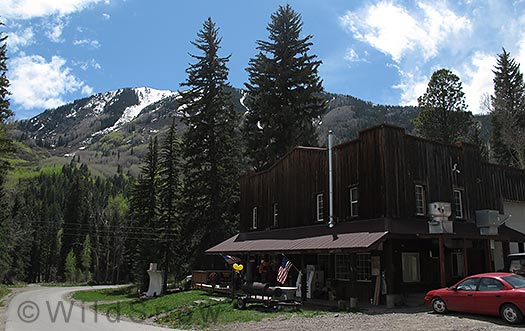 Slow Groovin BBQ - Marble, Colorado Slow Groovin BBQ - Marble, Colorado