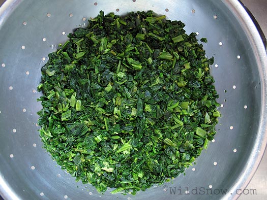 Chopped nettles Chopped nettles