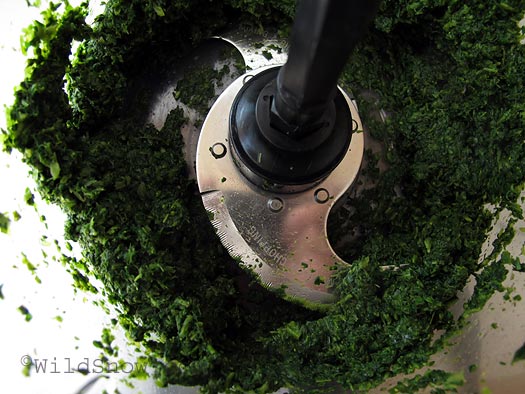Food processor pureeing the nettles Food processor pureeing the nettles