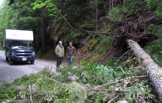 Why is there never a chainsaw around when you need it? Why is there never a chainsaw around when you need it?