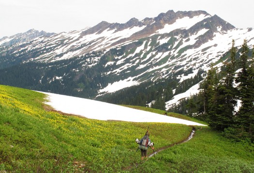 Whitepass Backcountry skiing and Ski mountaineering on Glacier Peak in the North Cascades