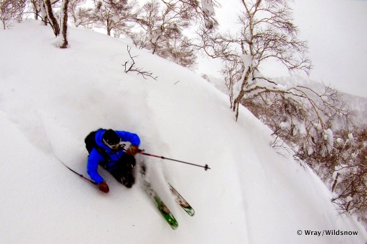Blurred skier and crisp background.