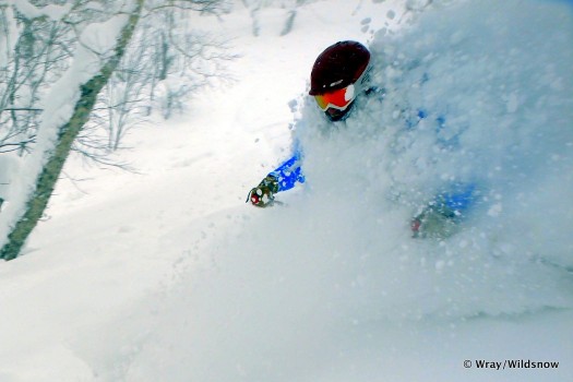 Blurred background on a fast moving skier.