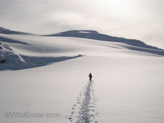 Skinning in paradise. Skinning in paradise.