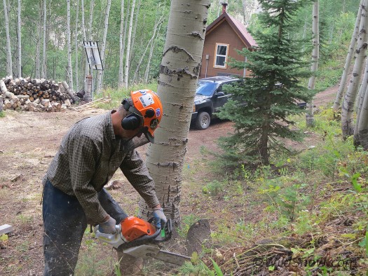 Defensible space