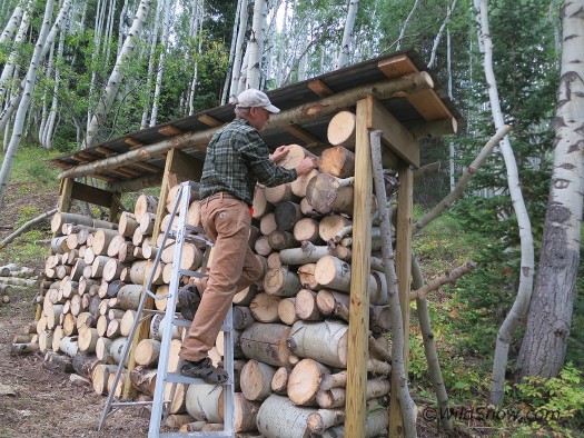 Wood shed Wood shed